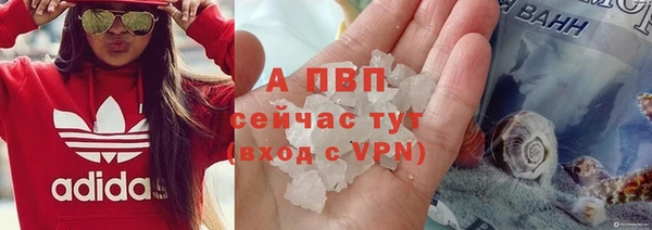 молекула духа Пересвет