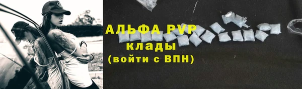 молекула духа Пересвет