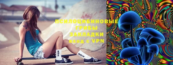 молекула духа Пересвет