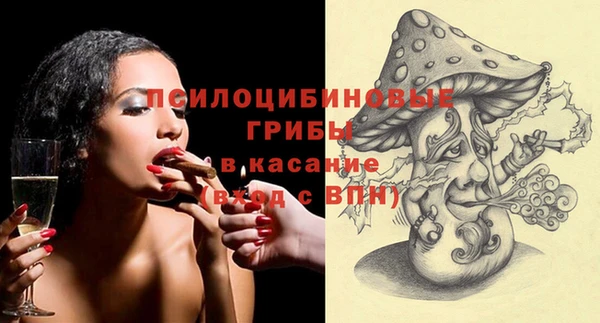 PSILOCYBIN Заволжск