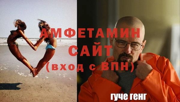 молекула духа Пересвет