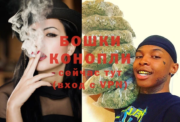 молекула духа Пересвет