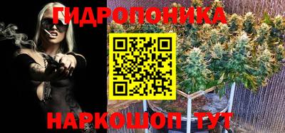 крисы Балаково