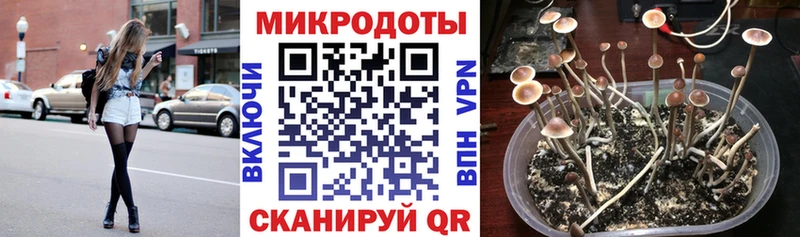 Псилоцибиновые грибы Magic Shrooms Боровичи