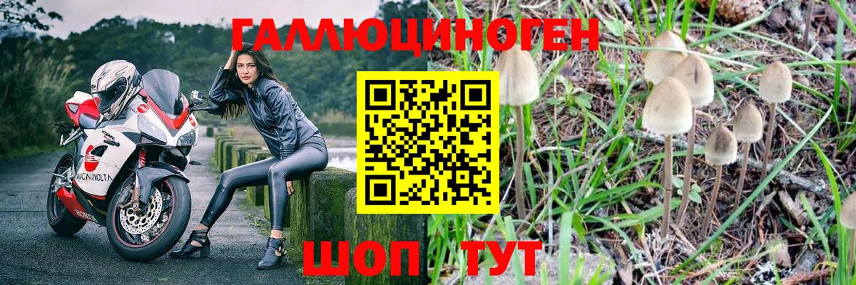 Псилоцибиновые грибы MAGIC MUSHROOMS Боровичи