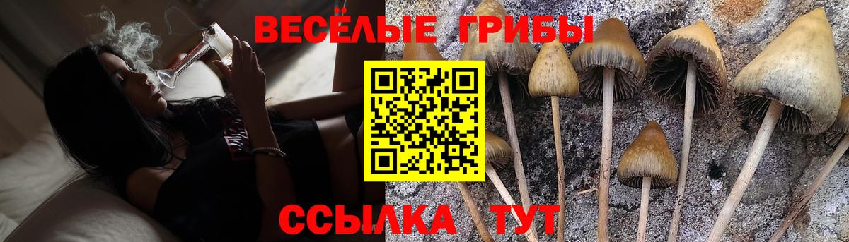 Галлюциногенные грибы Psilocybine cubensis  Вход с VPN  Боровичи 
