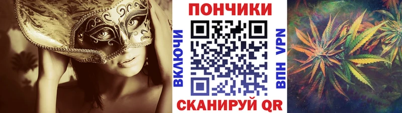 Шишки марихуана сатива  Боровичи 