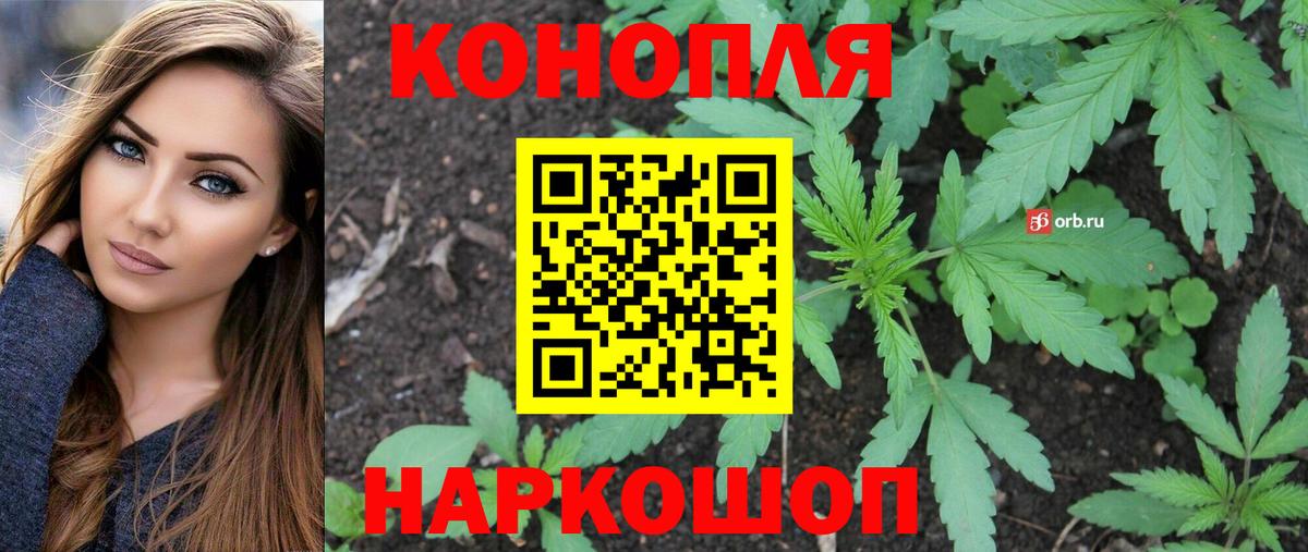 Каннабис сатива  Марихуана индика  Боровичи  Марихуана тримм 